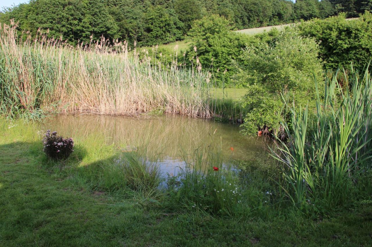Fewogriebelschied Bagian luar foto
