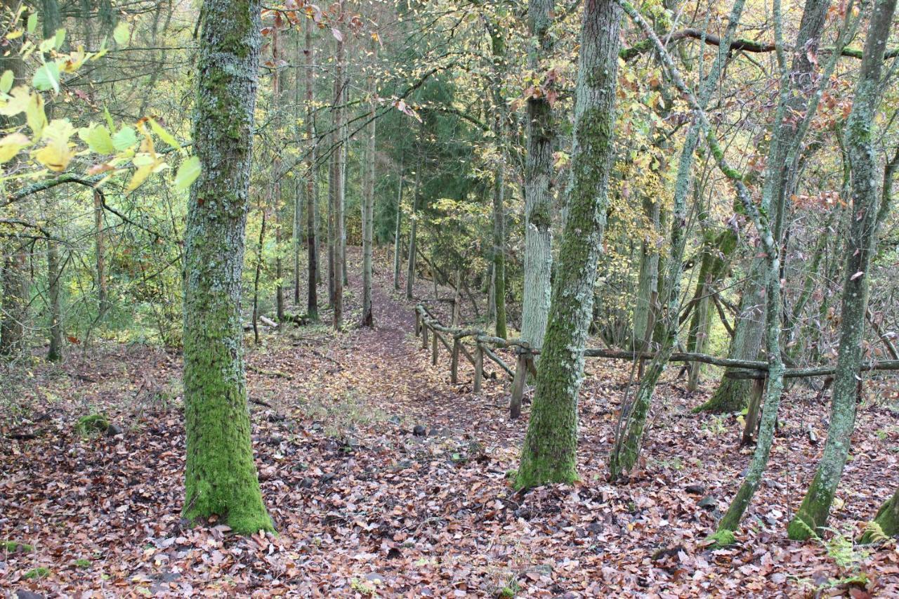 Fewogriebelschied Bagian luar foto